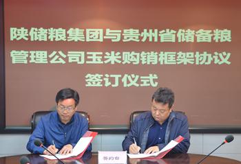 陜儲糧集團與貴州省儲備糧管理公司簽訂《玉米購銷框架協議》