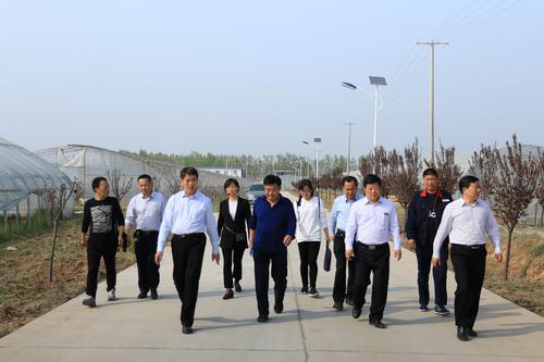 省農業廳園區辦主任竇紅新一行到朝邑農場指導工作