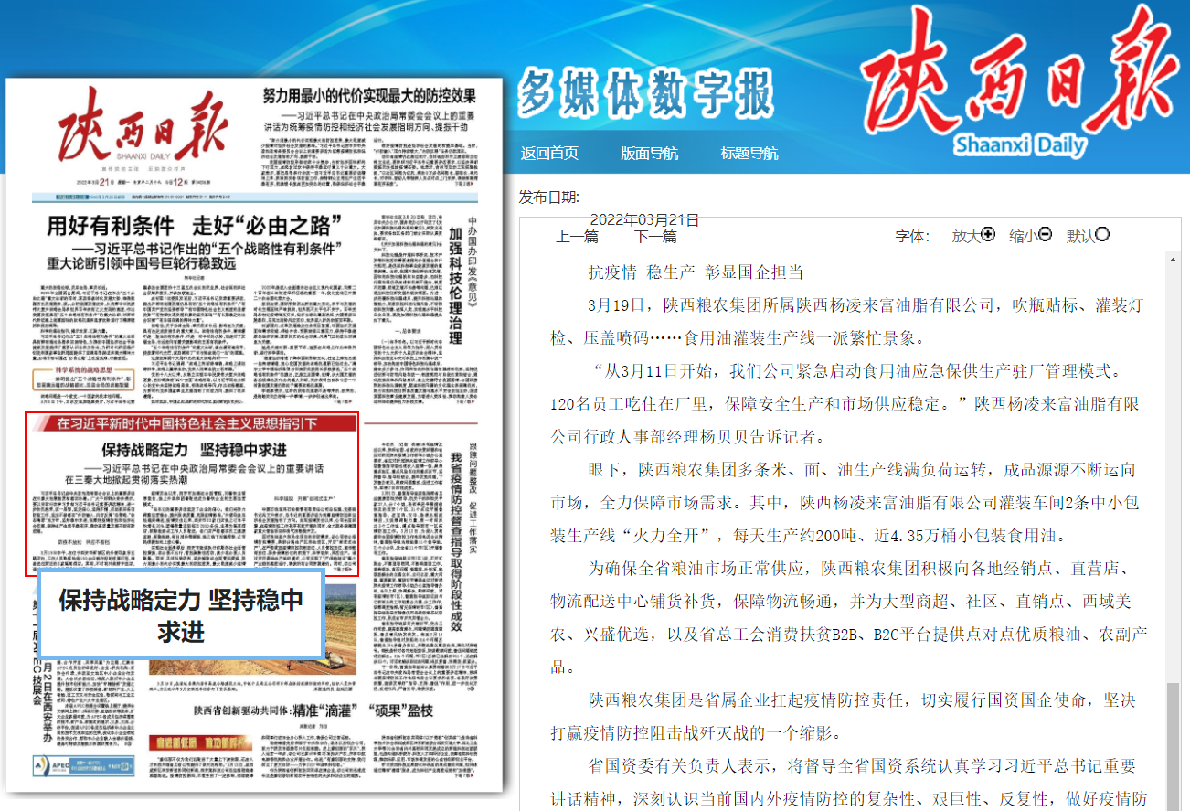 陜西日報：在習近平新時代中國特色社會主義思想指引下 保持戰略定力 堅持穩中求進