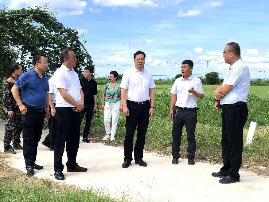秦豐種業：楊凌示范區黨工委書記黃思光蒞臨南繁基地考察指導